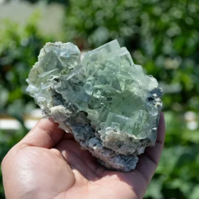 Glassy Cubes Of Fluorite, Remarkable Transparent Crystals