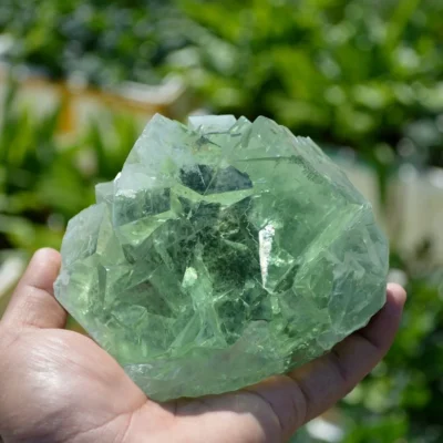 Glassy Cubes Of Fluorite, Remarkable Transparent Crystals