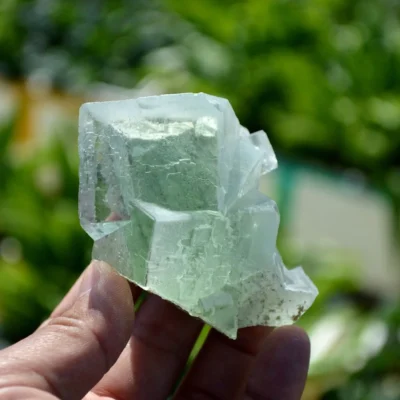 Glassy Cubes Of Fluorite, Remarkable Transparent Crystals