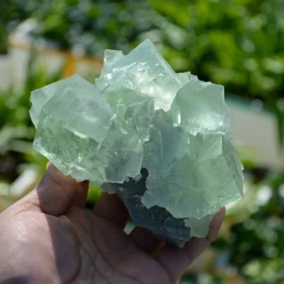 Glassy Cubes Of Fluorite, Remarkable Transparent Crystals