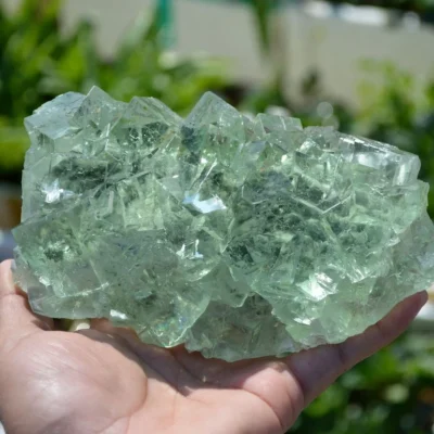 Glassy Cubes Of Fluorite, Remarkable Transparent Crystals