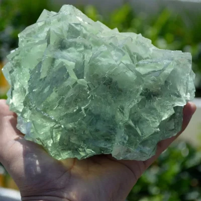 Glassy Cubes Of Fluorite, Remarkable Transparent Crystals