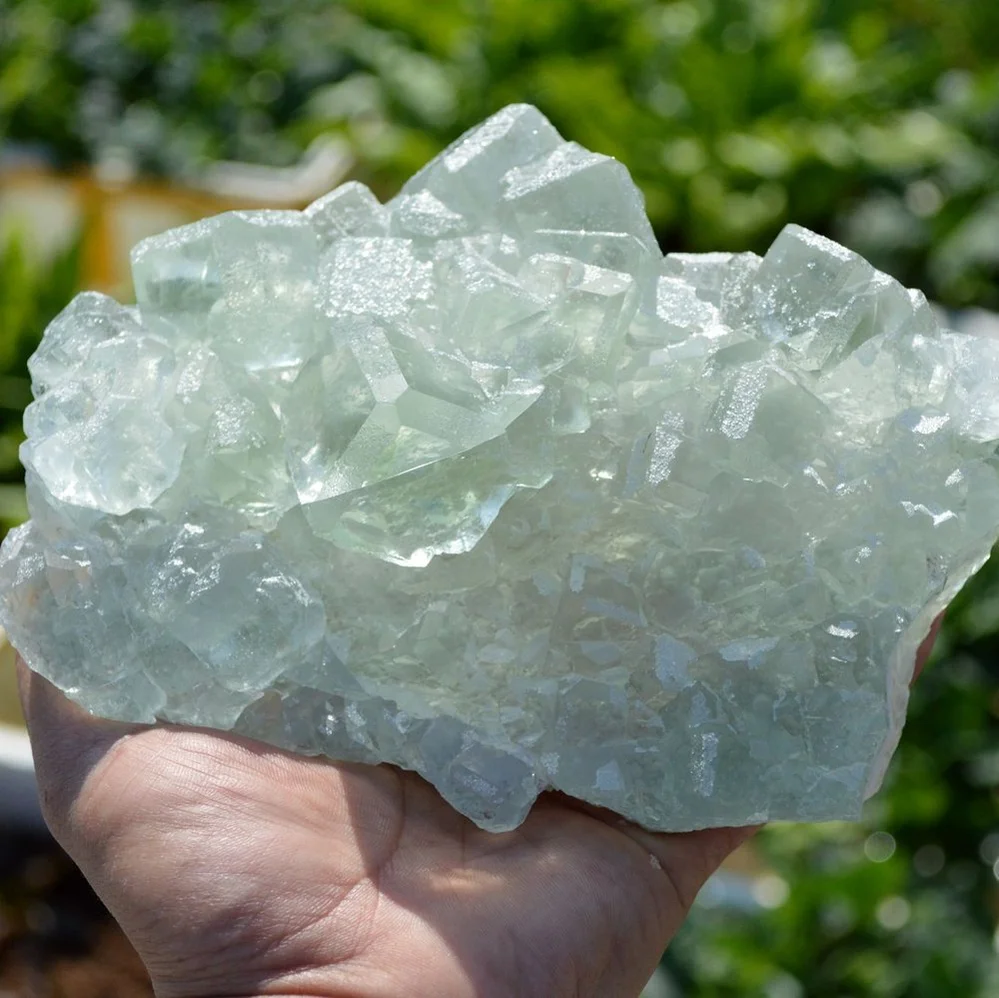 Glassy Cubes Of Fluorite, Remarkable Transparent Crystals