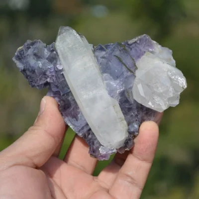 Fluorite With Quartz, Mica Crystals (Floater)