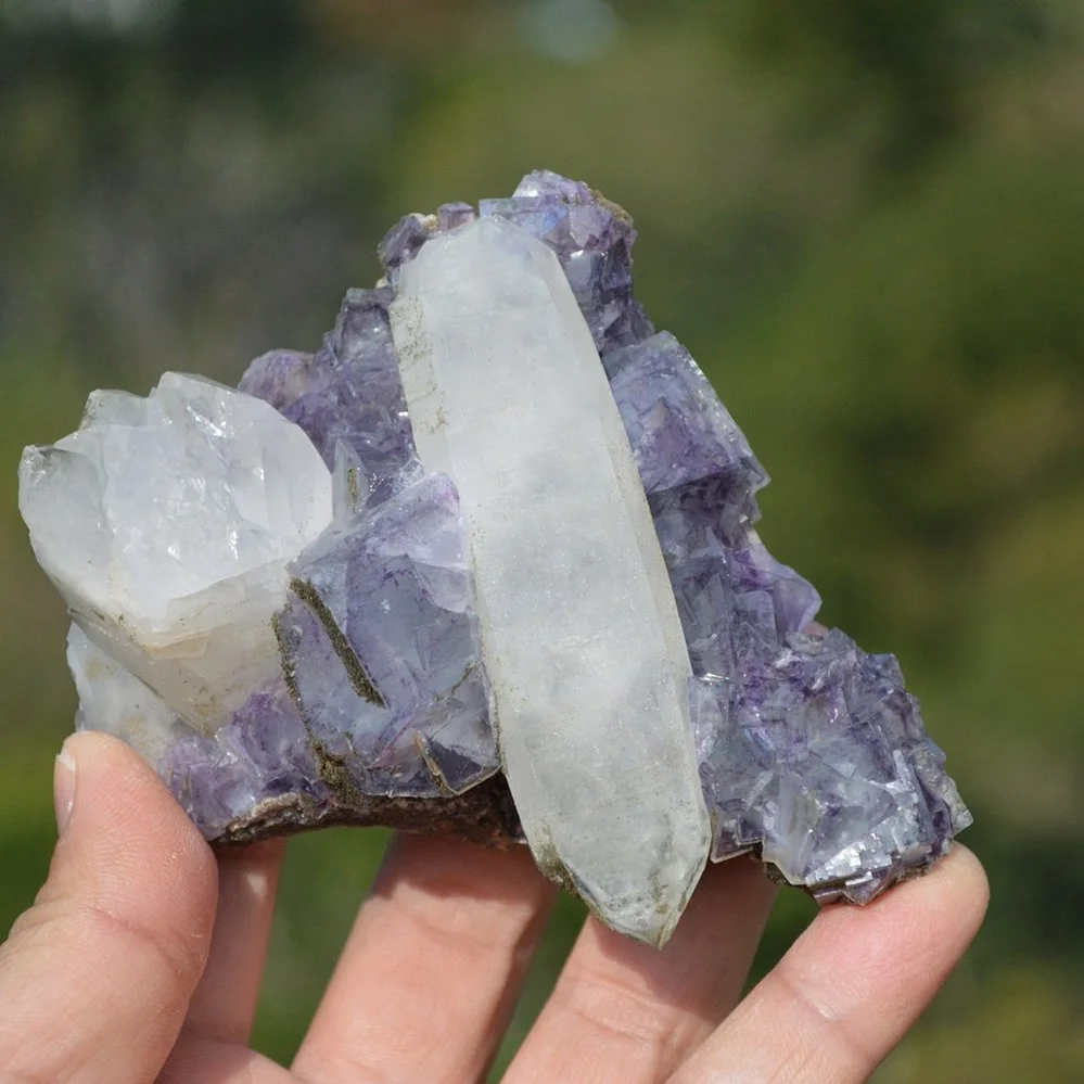 Fluorite With Quartz, Mica Crystals (Floater) - Image 2