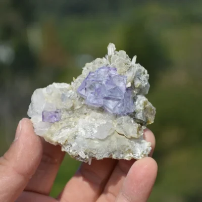 Fluorite With Quartz, Arsenopyrite, Mica Crystals (Floater)