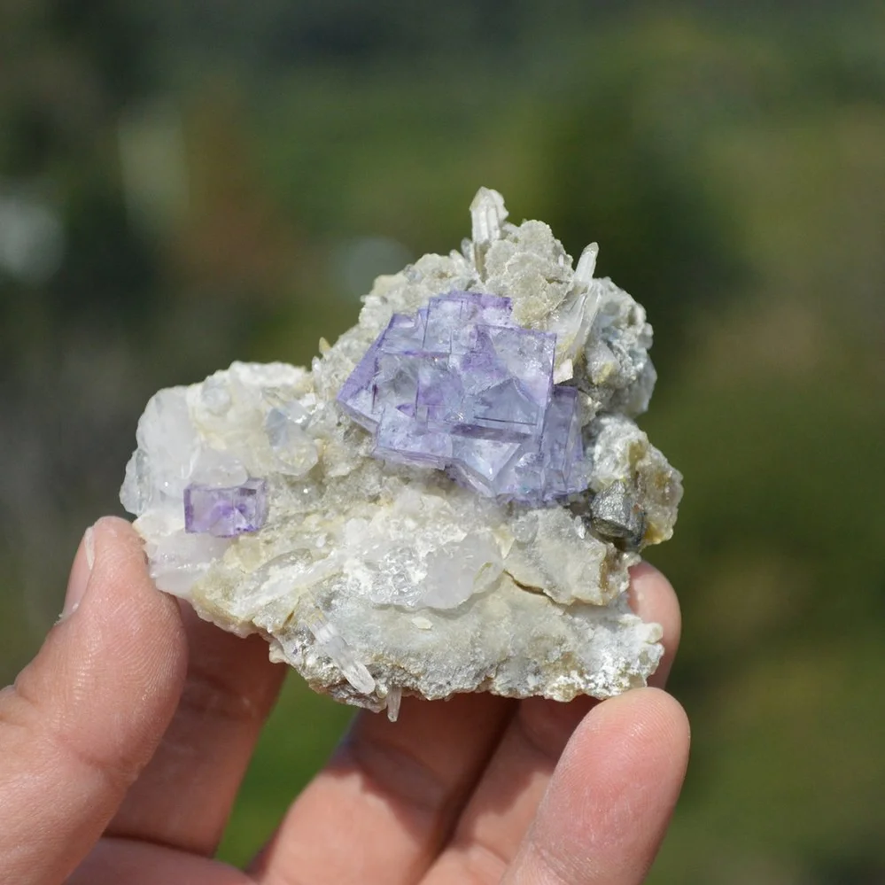 Fluorite With Quartz, Arsenopyrite, Mica Crystals (Floater)