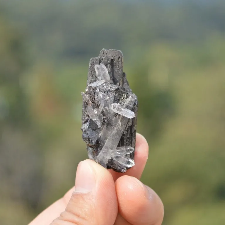 Ferberite With Quartz,Arsenopyrite Crystals - Image 7