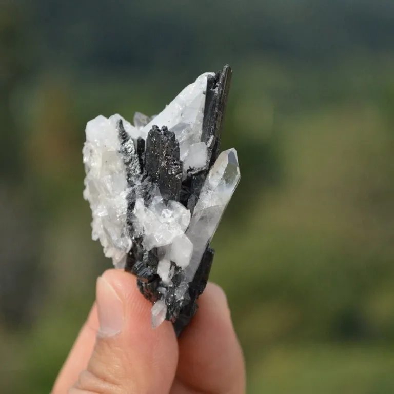 Ferberite With Quartz Crystals - Image 6