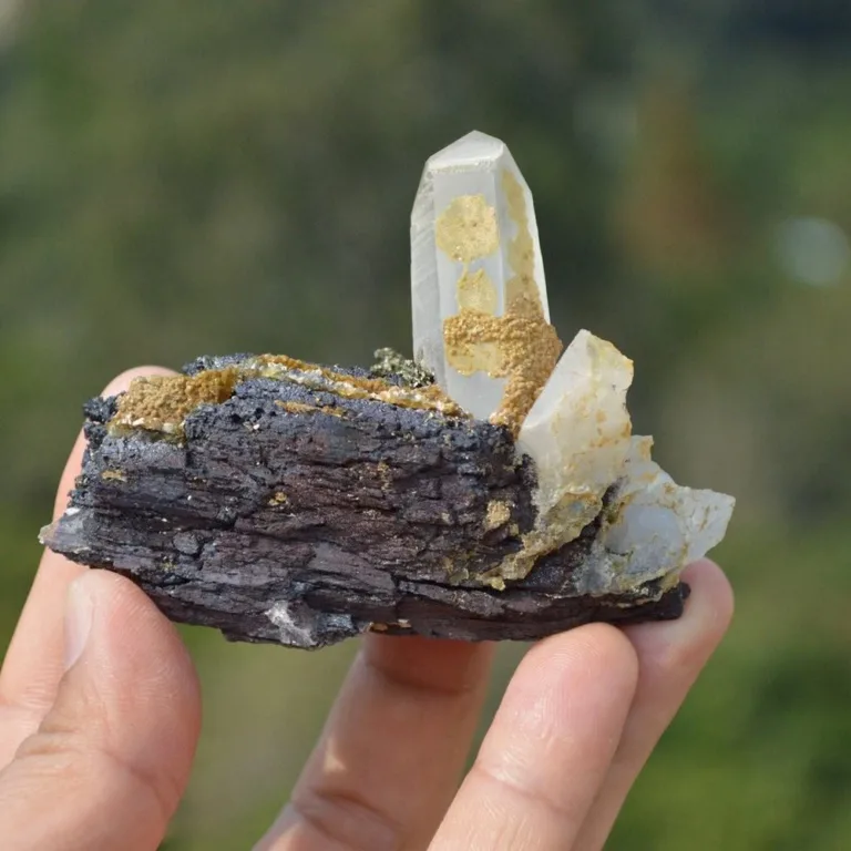 Ferberite With Quartz,Mica Crystals - Image 5