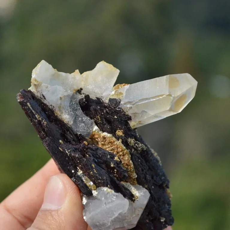 Ferberite With Quartz,Mica Crystals - Image 7