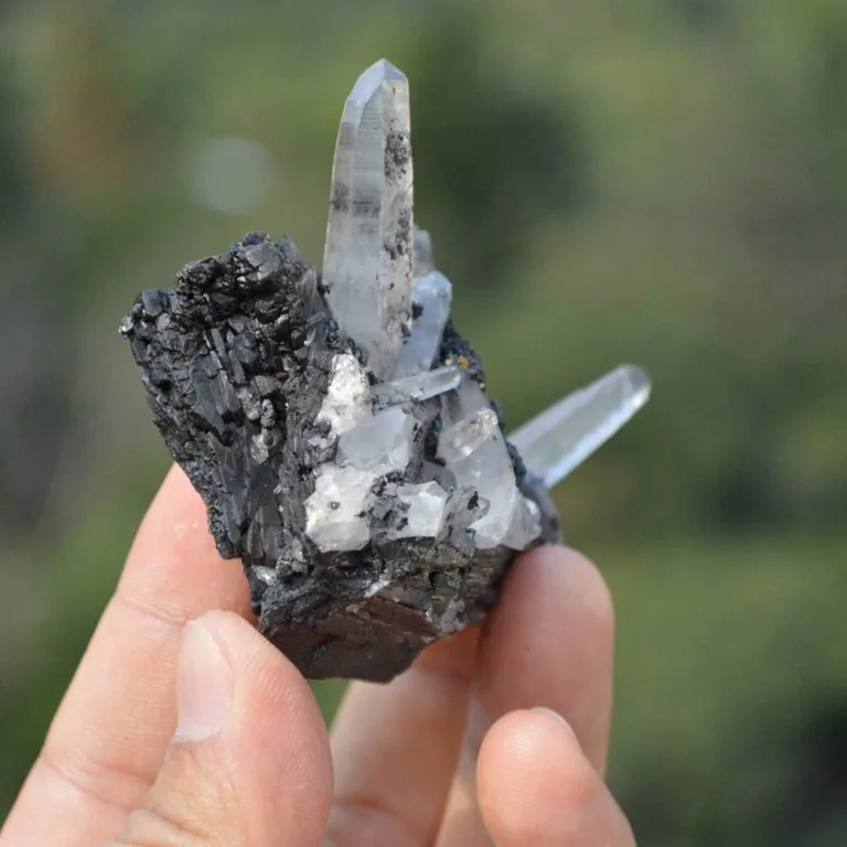 Ferberite With Quartz,Arsenopyrite,Mica Crystals - Image 3