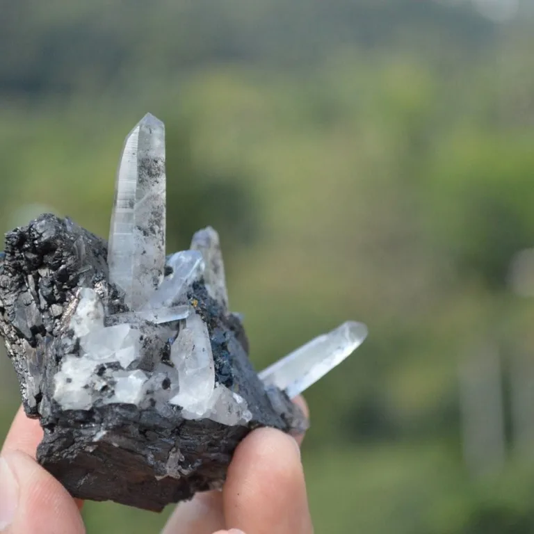 Ferberite With Quartz,Arsenopyrite,Mica Crystals - Image 4