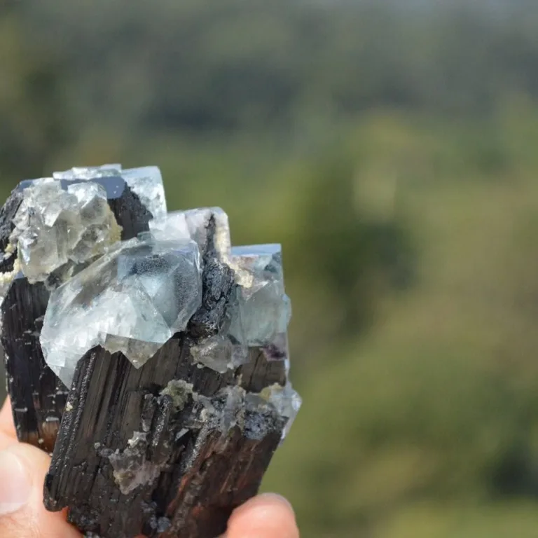 Ferberite With Quartz,Fluorite,Mica Crystals - Image 7