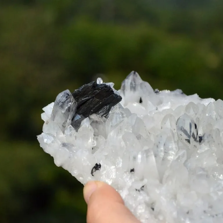 Floating Ferberite With Quartz And Bismuthinite Crystals - Image 6