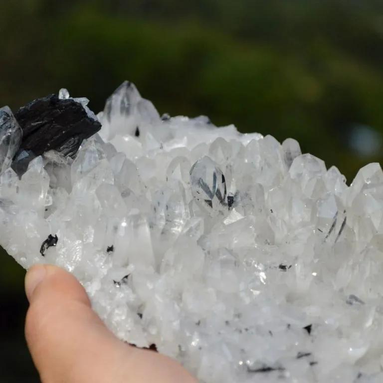 Floating Ferberite With Quartz And Bismuthinite Crystals - Image 7