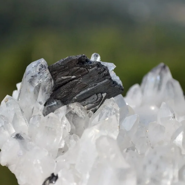 Floating Ferberite With Quartz And Bismuthinite Crystals - Image 11