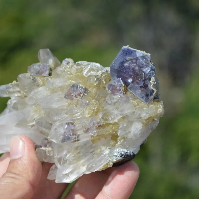 Fluorite With Quartz, Mica Crystals (Floater) - Image 9