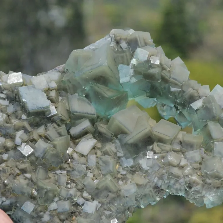 Mineral Collection - Phantom Fluorite Inclusion - Image 6