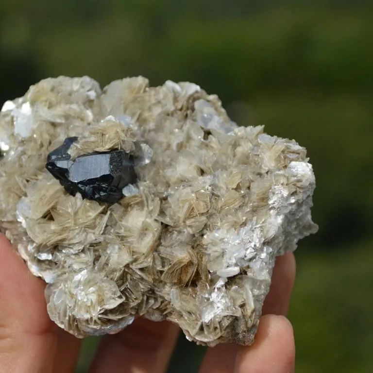 Cassiterite On The Mica Matrix - Image 2