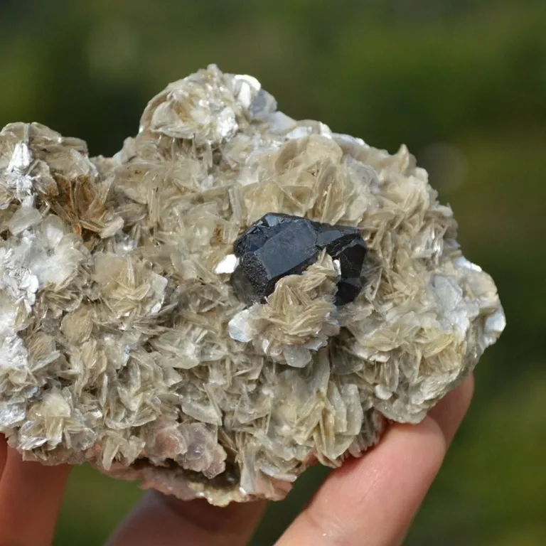 Cassiterite On The Mica Matrix - Image 3
