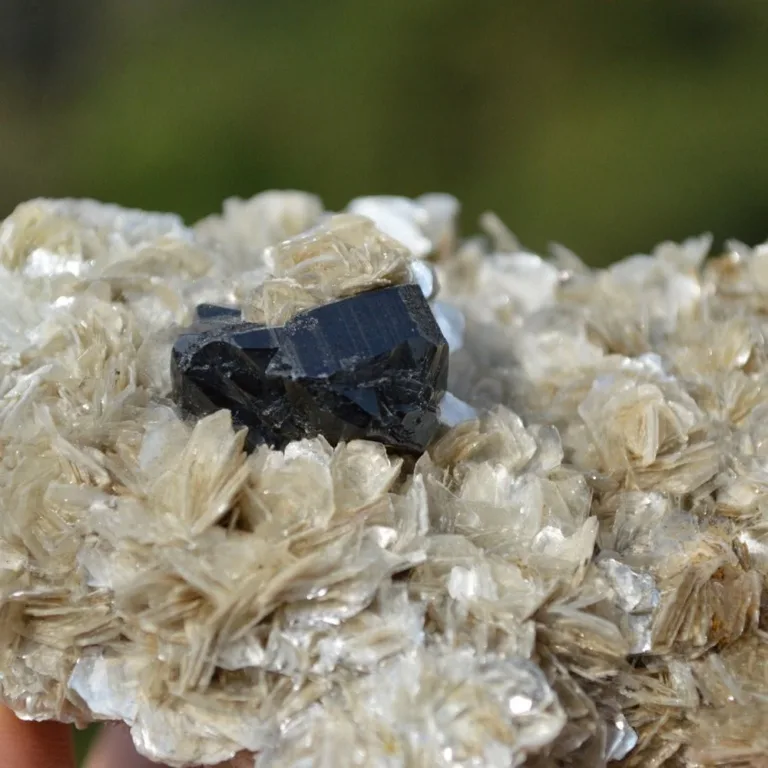Cassiterite On The Mica Matrix - Image 4