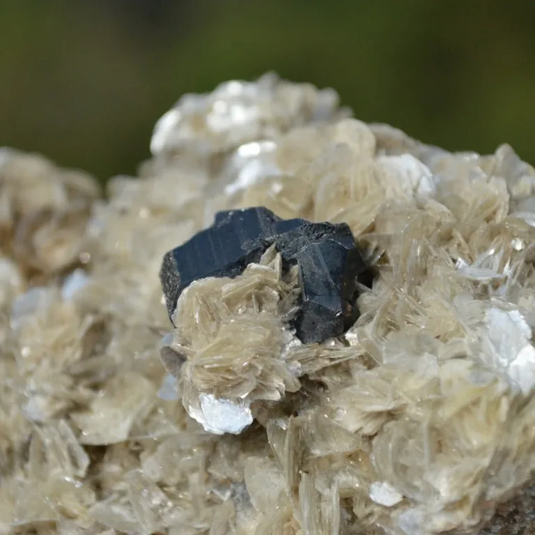 Cassiterite On The Mica Matrix - Image 6