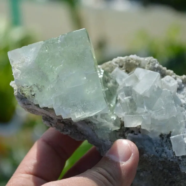 Glassy Cubes Of Fluorite, Remarkable Transparent Crystals - Image 8