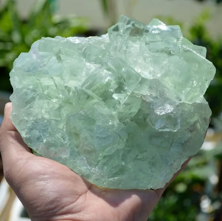 Glassy Cubes Of Fluorite, Remarkable Transparent Crystals