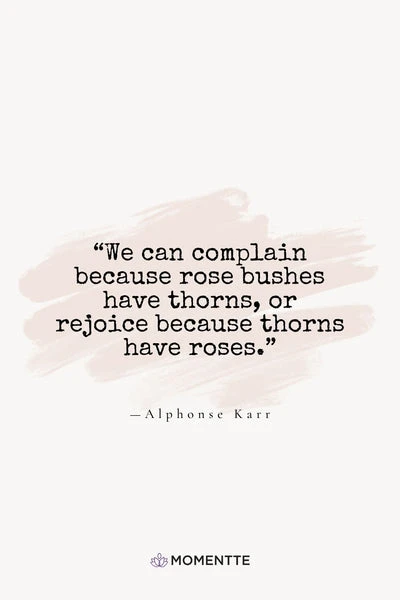 daily gratitude quotes - alphonse karr