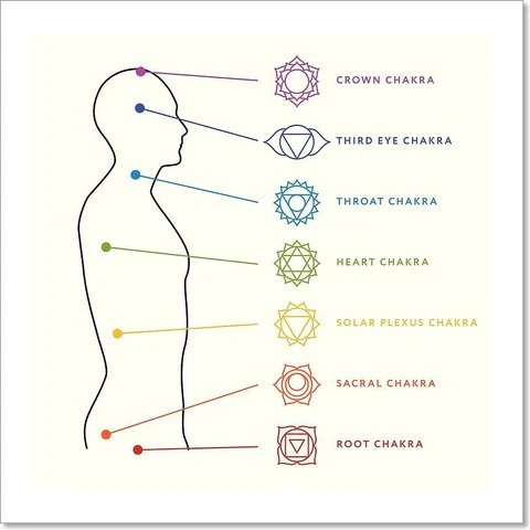 the 7 chakras